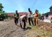 Kapolsek Bukit Raya Tanam Jagung Bareng Petani: Wujud Nyata Dukung Ketahanan Pangan Nasional