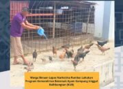 Warga Binaan Lapas Narkotika Rumbai Lakukan Program Kemandirian Beternak Ayam Kampung Unggul Balitbangtan (KUB)