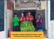 Wujudkan Program Ketahanan Pangan, Lapas Narkotika Rumbai Rutin Panen Kangkung