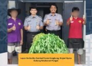 Lapas Narkotika Rumbai Panen Kangkung, Wujud Nyata Dukung Ketahanan Pangan