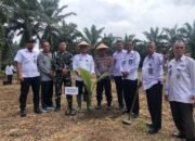 Dukung Ketahanan Pangan Nasional: Lapas Bangkinang Laksanakan Penanaman Pohon Kelapa Serentak