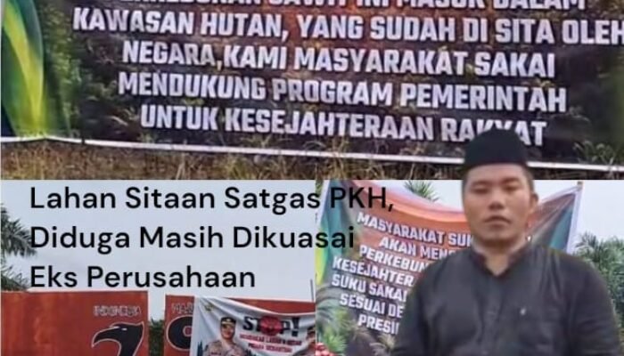PT. IMS Diduga Langgar Hukum, Lahan Sitaan Satgas PKH Masih Digarap