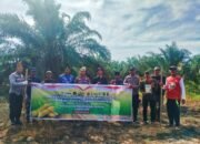 Polsek Rokan IV Koto Turun Langsung Tanam Jagung Bersama Warga di Lubuk Bendahara Timur, Wujud Polisi Cinta Petani