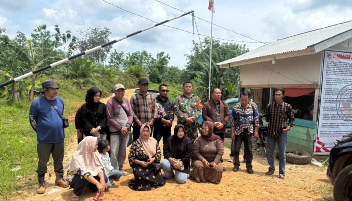 Sempat Terhenti, KNES Kembali Garap Kebun Sawit 2.800 Hektar di Tapung-Kampar