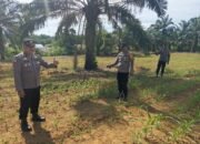 Polsek Bagan Sinembah Cek Pertumbuhan Jagung Pipil, Wujud Dukungan Ketahanan Pangan Nasional