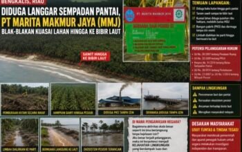 Dugaan Perusakan Pesisir di Pulau Rupat: PT MMJ Disebut Tanam Sawit hingga Tepi Laut