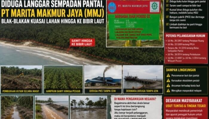 Dugaan Perusakan Pesisir di Pulau Rupat: PT MMJ Disebut Tanam Sawit hingga Tepi Laut