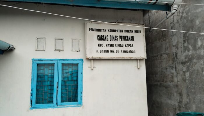 Kabid Tangkap Dinas Perikanan Rohil Kualahan Saat Publik Mempertanyakan Terkait Dugaan Praktek Pungli Yang Beroperasi Secara Brutal.