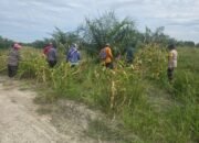 POLRI UNTUK MASYARAKAT: POLSEK BANGKO DAMPINGI PETANI, PERKUAT LANGKAH MENUJU SWASEMBADA PANGAN