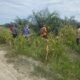POLRI UNTUK MASYARAKAT: POLSEK BANGKO DAMPINGI PETANI, PERKUAT LANGKAH MENUJU SWASEMBADA PANGAN
