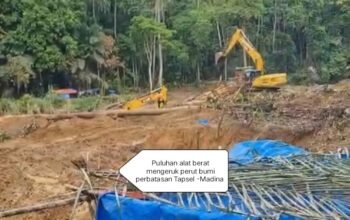 IMA Madina Pekanbaru Desak Polda Sumut Tangkap Mafia PETI di Perbatasan Tapsel–Madina, Dugaan Keterlibatan Ormas Minta Diusut