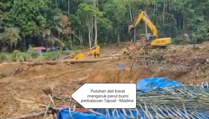 IMA Madina Pekanbaru Desak Polda Sumut Tangkap Mafia PETI di Perbatasan Tapsel–Madina, Dugaan Keterlibatan Ormas Minta Diusut