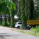 Diduga Gudang Penimbunan BBM Solar Subsidi Belakang Alam Mayang Pekanbaru, Tidak Tertindak Oleh APH Setempat!