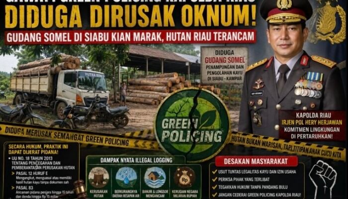 GAWAT! Green Policing Kapolda Riau Diduga Dicederai, Aktivitas Gudang Somel di Siabu Kian Terang-Terangan