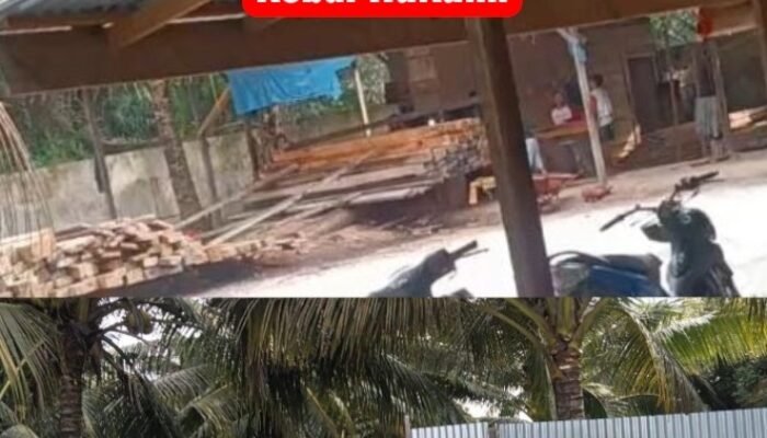 Sawmil Ilegal Logging Siregar Jl.Datuk Harunsyah Kampar Merajalela, Regar Kebal Hukum!, Kinerja Polres Kampar Dipertanyakan.