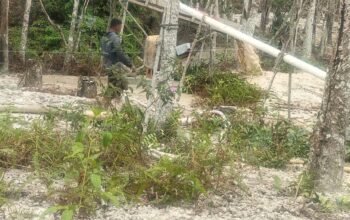 PETI Diduga Menjamur di Kuansing, Depi-Dion Tajo Disebut Warga, Kapolres Jangan Diam!