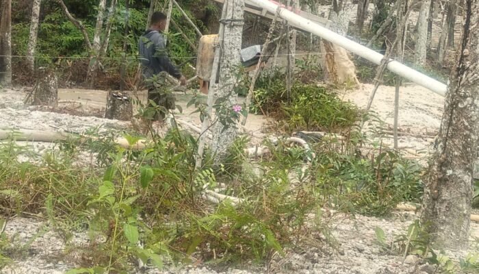 PETI Diduga Menjamur di Kuansing, Depi-Dion Tajo Disebut Warga, Kapolres Jangan Diam!