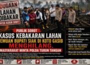 Publik Sorot Kasus Kebakaran Lahan Temuan Bupati Siak di Koto Gasib Menghilang. Masyarakat Minta Polda Riau Turun Tangan