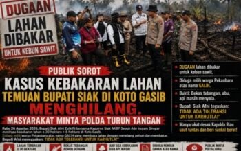 Publik Sorot Kasus Kebakaran Lahan Temuan Bupati Siak di Koto Gasib Menghilang. Masyarakat Minta Polda Riau Turun Tangan