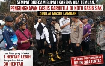 Sempat Dikecam Bupati Karena Ada Temuan, Pengungkapan Kasus Karhutla di Koto Gasib Siak Dinilai Lamban